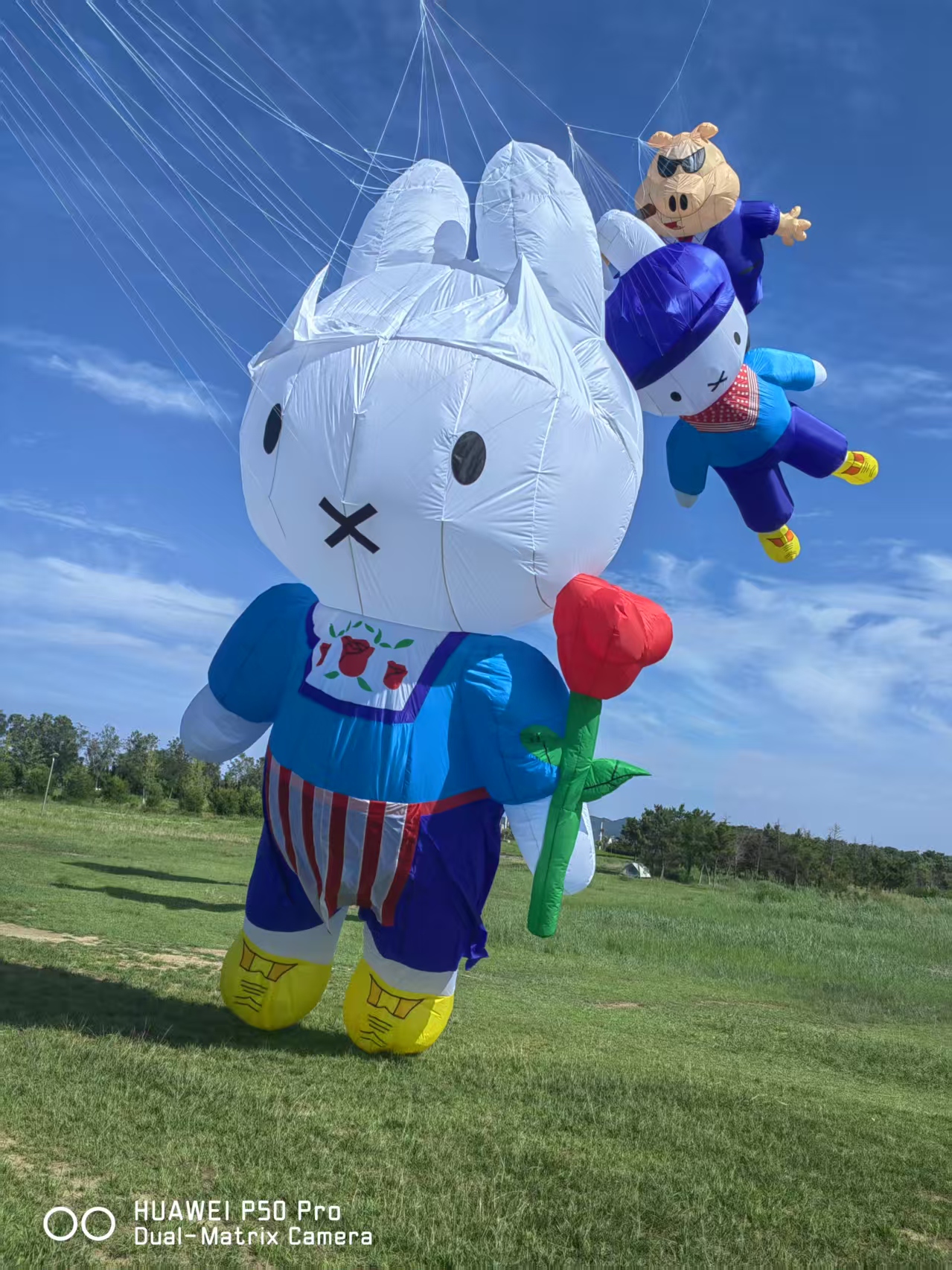 随州市儿童风筝定制风筝定制 - 方案