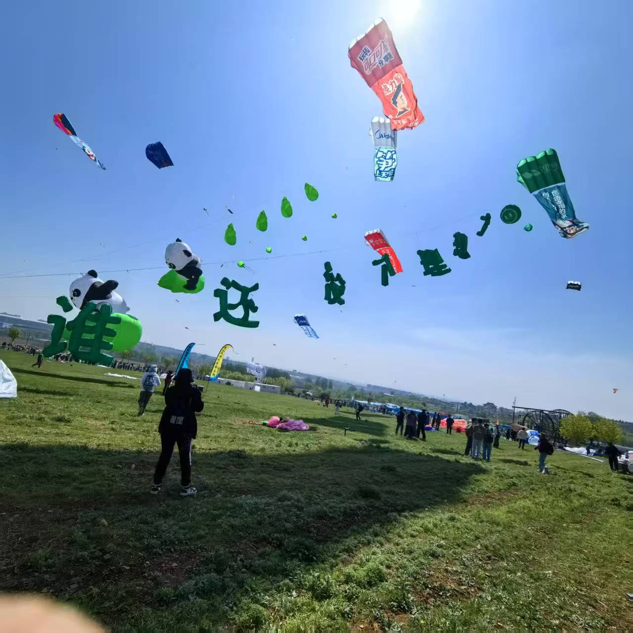 随州市风筝定制风筝定制 - 价格
